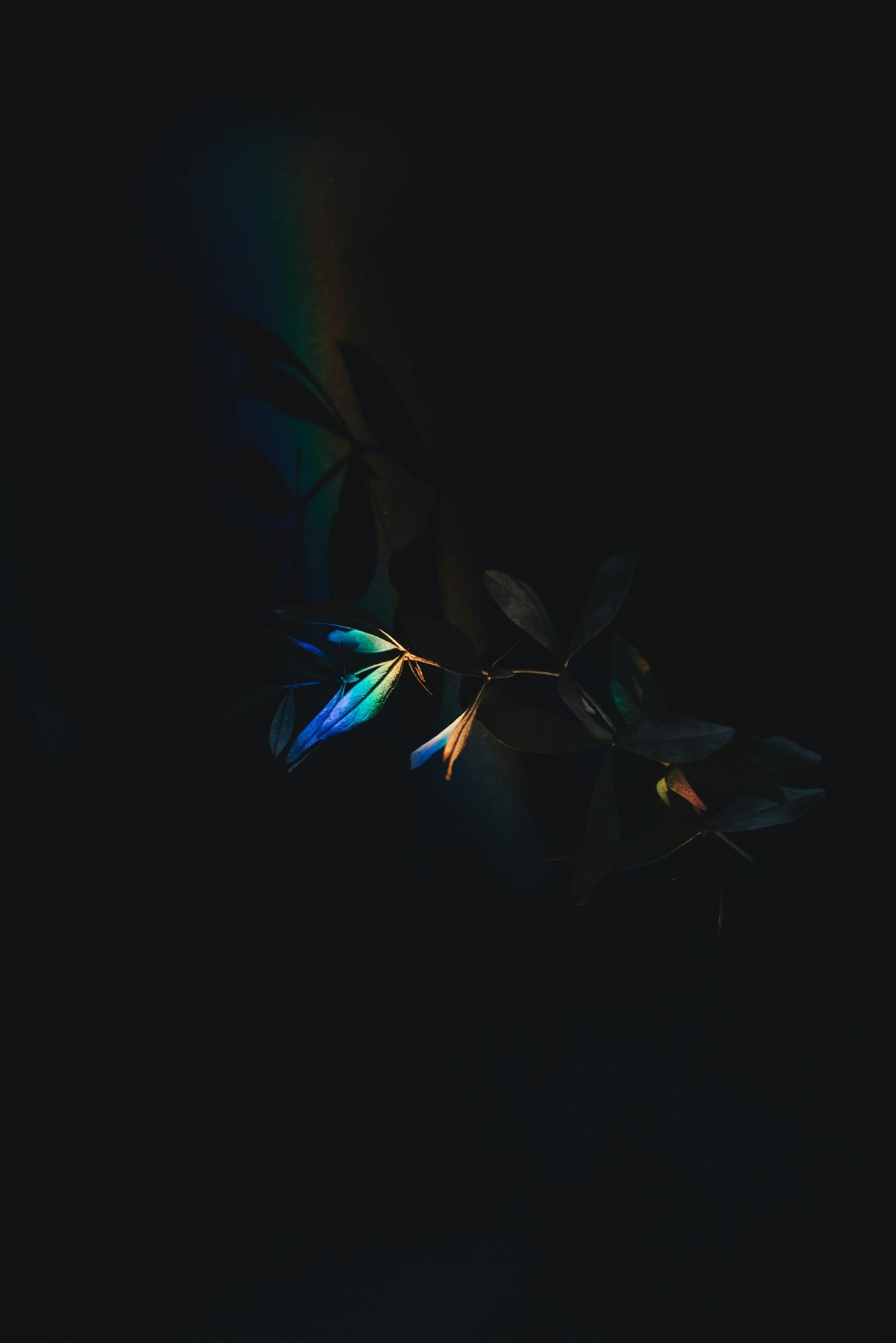 Luz descompuesta en espectro de colores contra un fondo oscuro