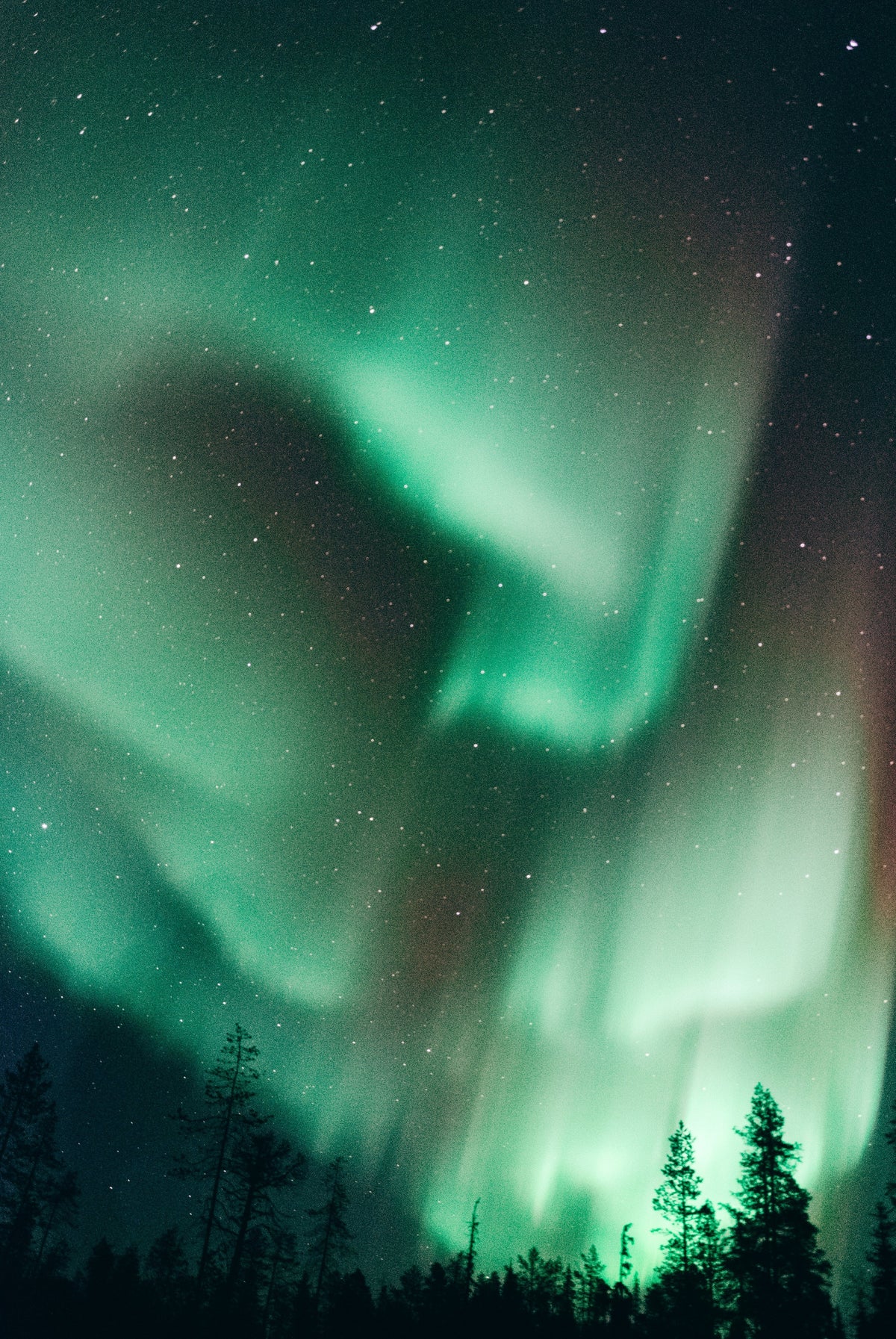 Aurora boreal verde y azul en el cielo nocturno